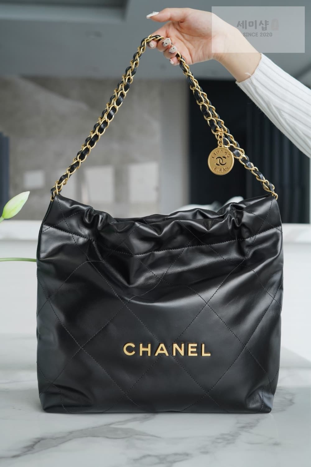 C H A N E L Chanel 22 Small 블랙 Bag